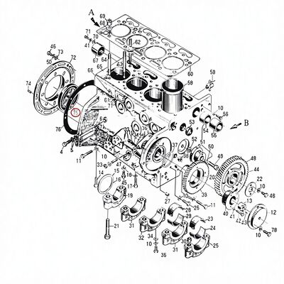 495AG Dieselmotor Olie voor reserveonderdelen PG100*130*12 KN 1 kg