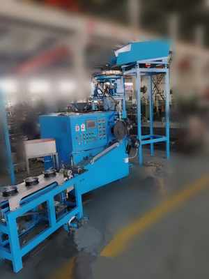 De plastic Sorteermachine van de Strookspijker